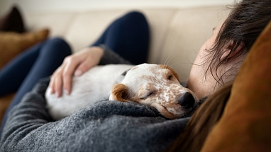 Paws over partners: people prefer to spend time with pets when stressed