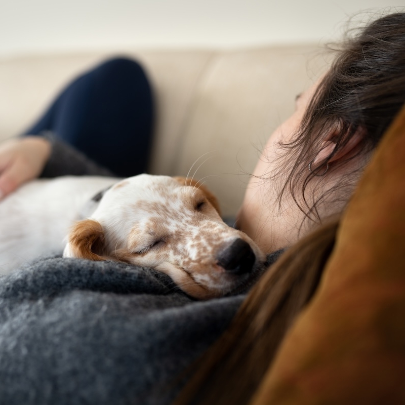 Person and a dog relaxing together
