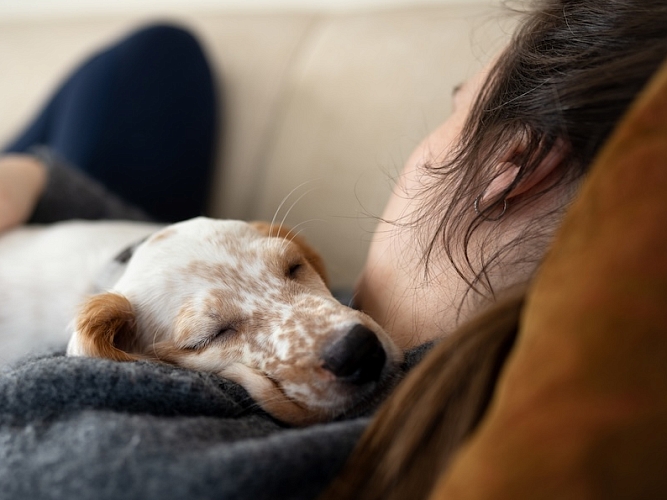 Person and a dog relaxing together