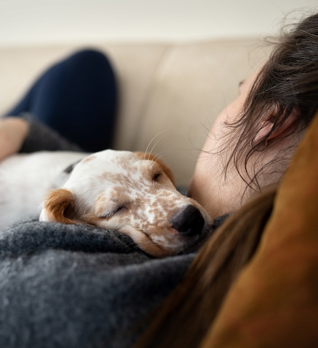 Person and a dog relaxing together