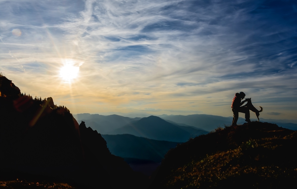 Person with a dog on a mountain