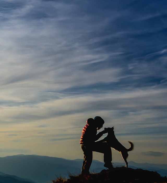 Man with dog on a mountain