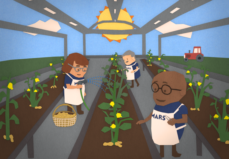 玛氏公司 花生保护计划