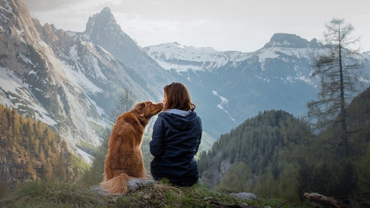 Our businesses are imagining a more sustainable future