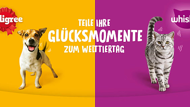 Tieradoption Welttiertag.ch