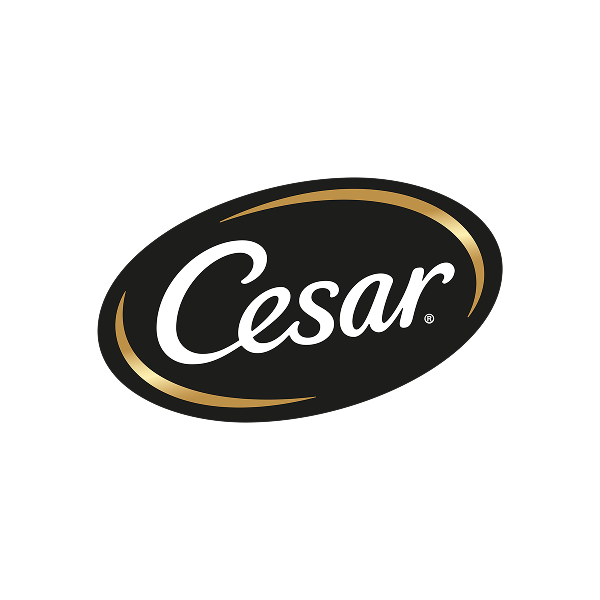 Cesar logo