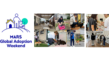 Global Adoption Weekend HERO_20251010