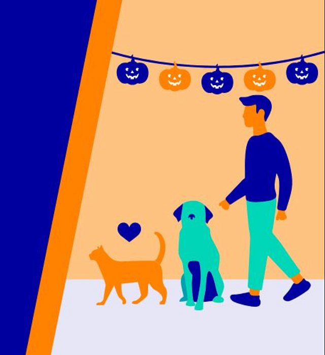Halloween themed person, dog and cat in blue and orange
