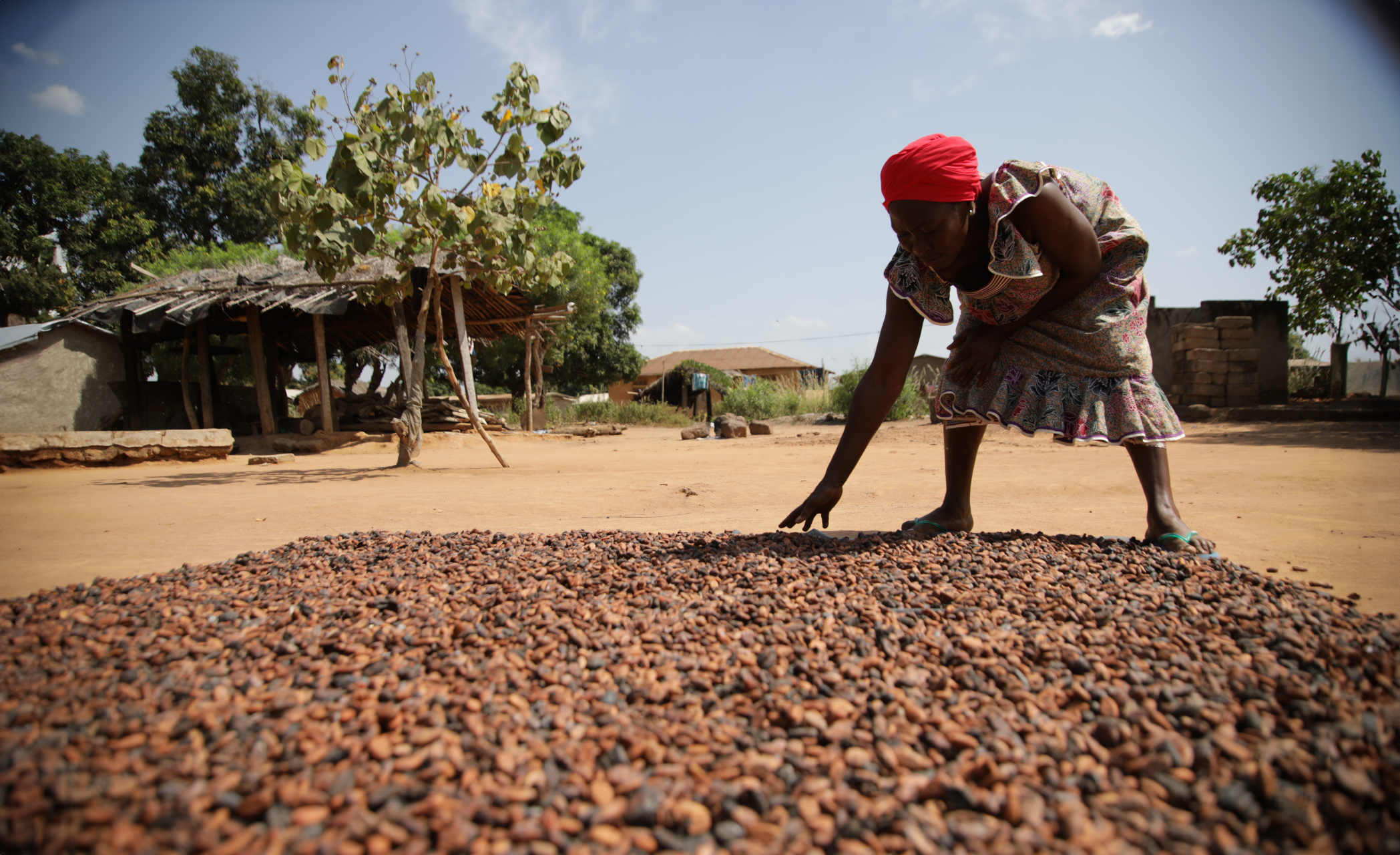 Woman with cocoa beans