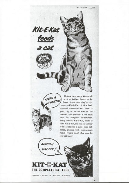 A 1939 advertisement for KIT E CAT with illustrated cats and slogan “the complete cat food”