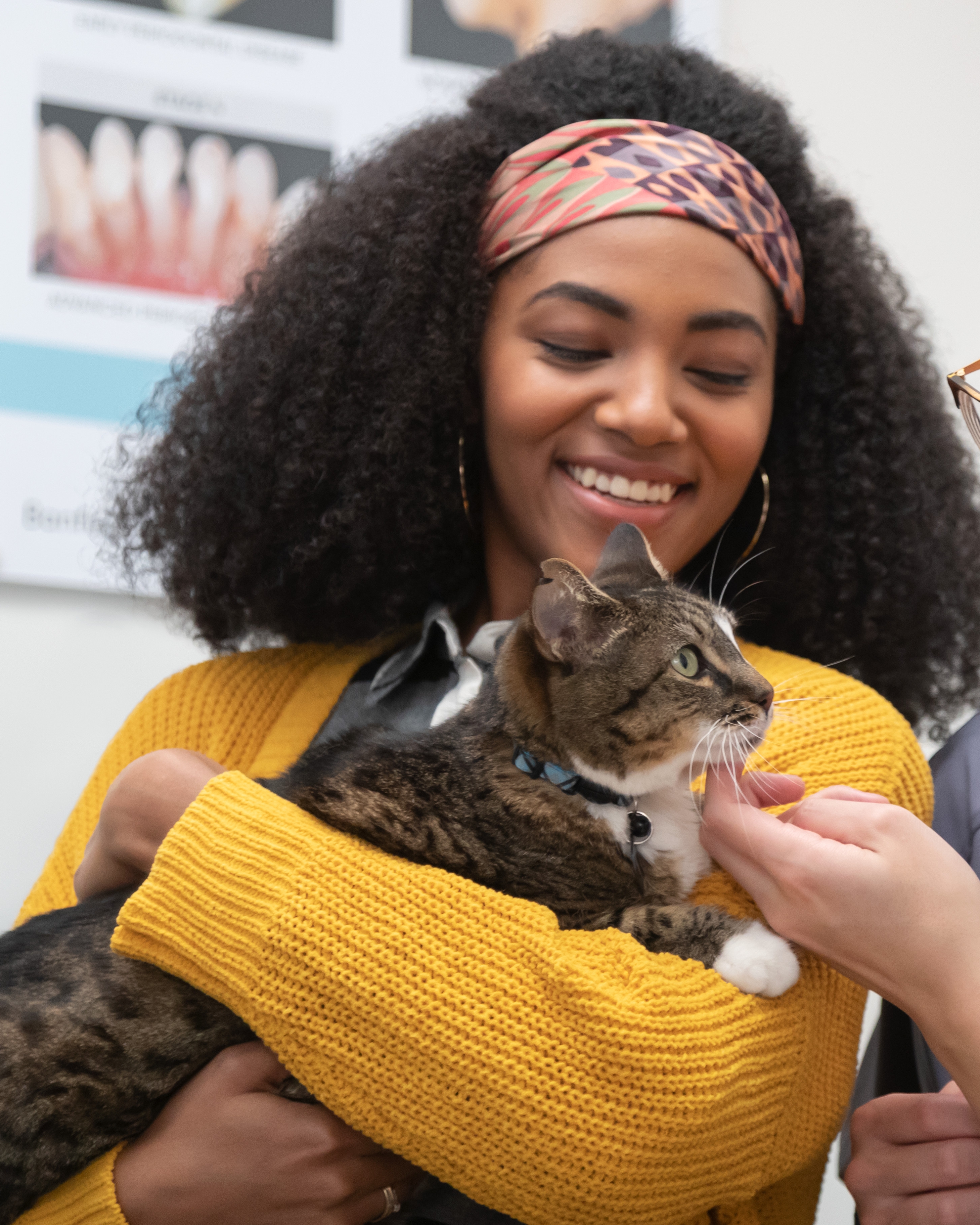 cat patient and vet enjoying a happy moment