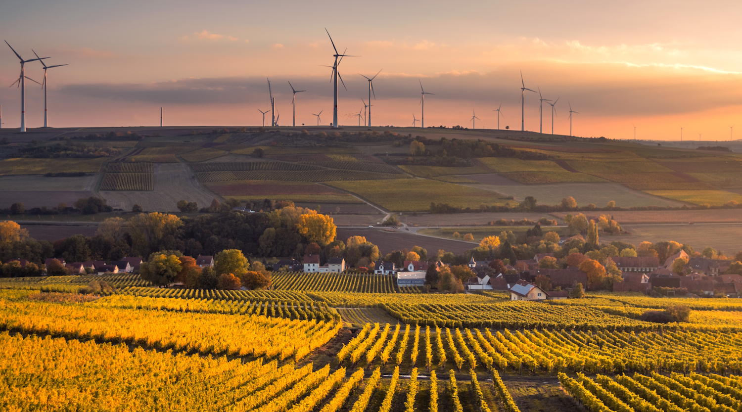 A farm with windmills in the background