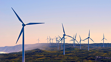 Windfarm Petcare page