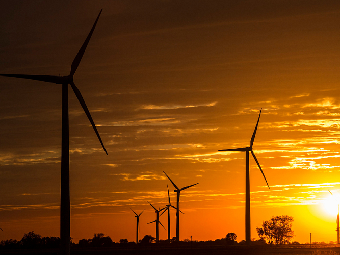 Wind turbines in a field with sun setting in the background