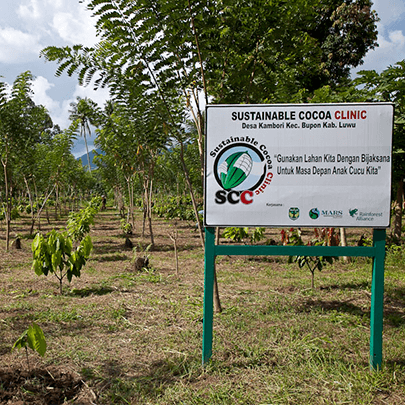 Signage for the “Sustainable Cocoa Clinic” in Des Kambori Kec. Bupon Kab. Luwu
