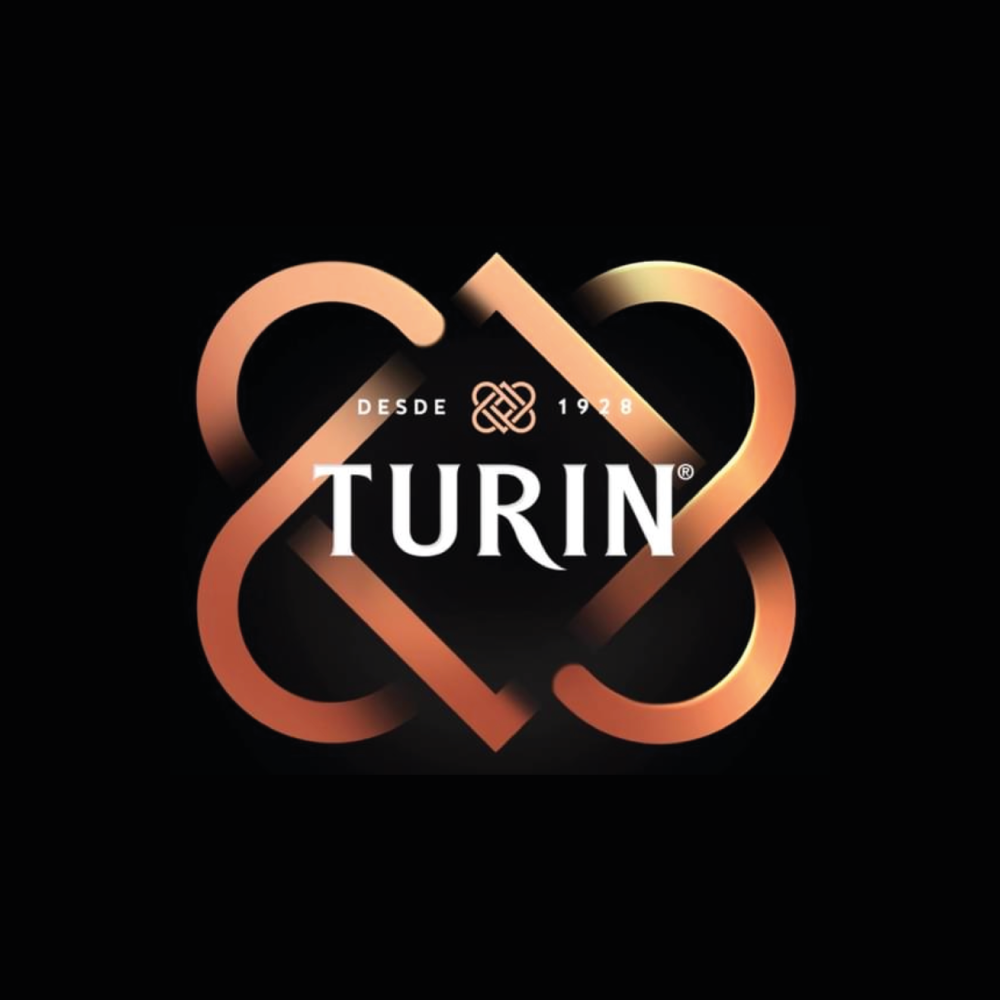 Logo Turin