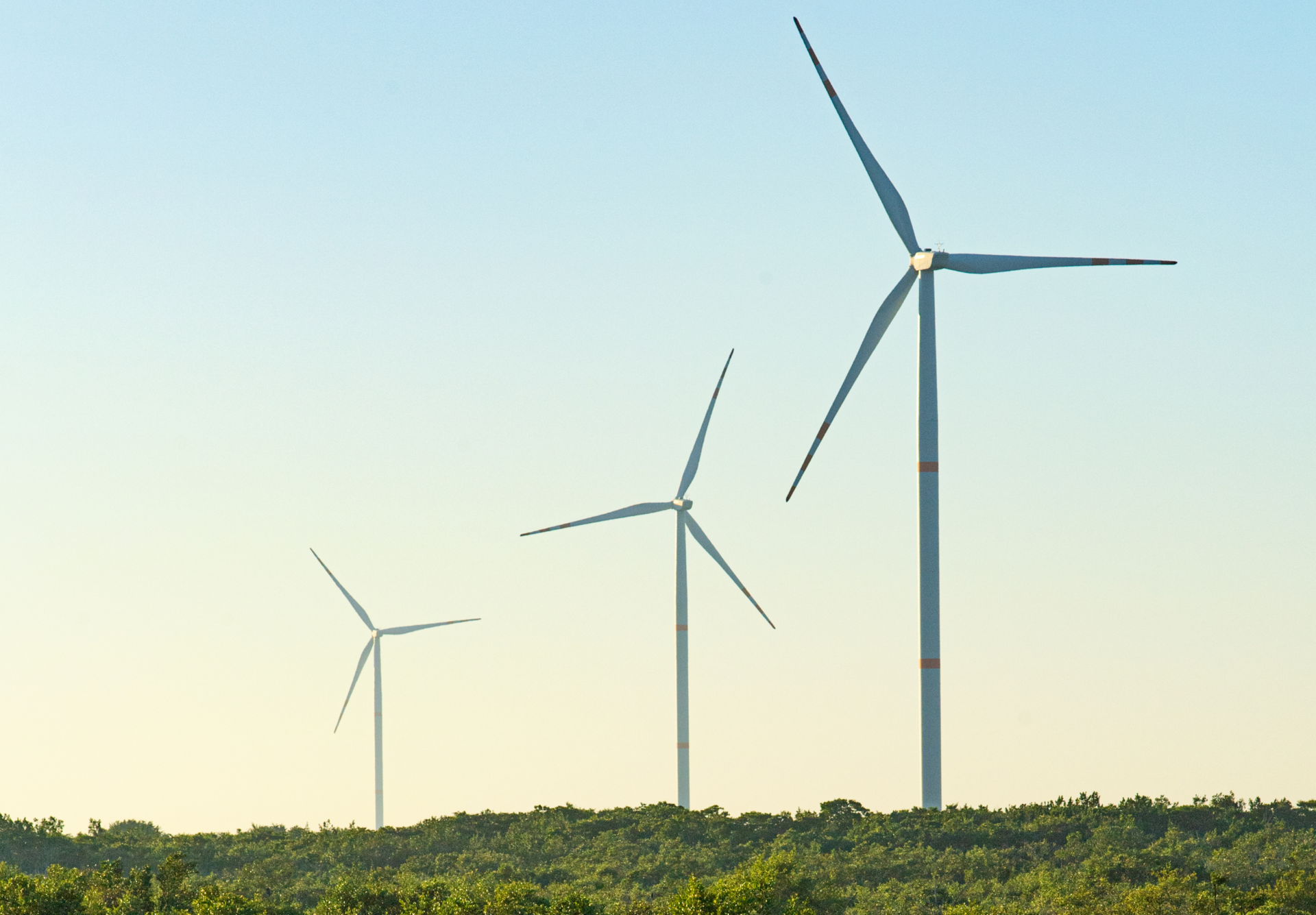 Windmills in Field image